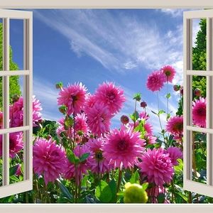 Meet your Posher, Gloria